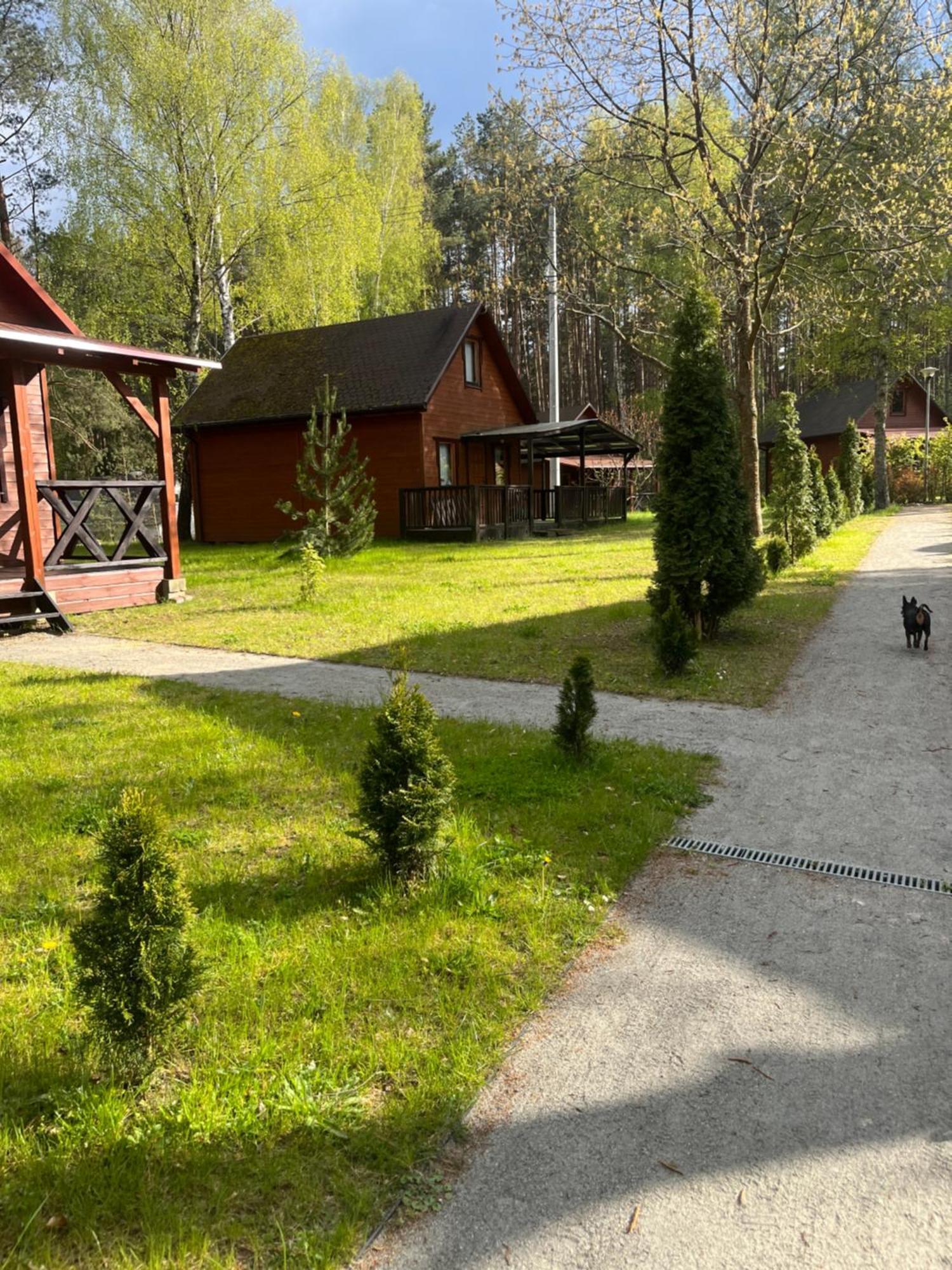 Domki Letniskowe Nad Jeziorem Kazub Cieciorka Экстерьер фото